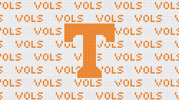 Tennessee Purse Insert And Strap - Needlepoint by Laura