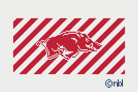 Arkansas Stripe Sunglass Case Canvas 3 x 6