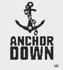 Vandy Anchor Down 8x8 on 18 mesh-1