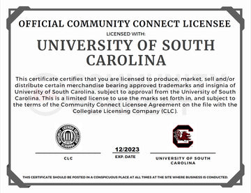 South Carolina Pillow - Needlepoint by Laura