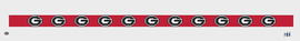 Georgia Purse Strap