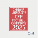 Indiana Champions Banner and Flagpole-3