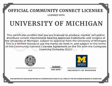 Michigan Go Blue Lumbar Pillow - Needlepoint by Laura