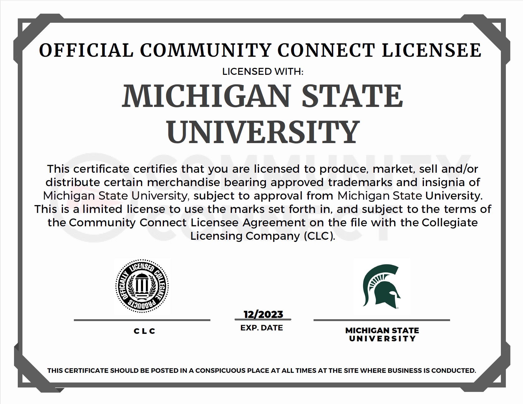 Michigan State Mini Flag Kit