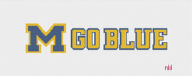 Michigan Go Blue Lumbar Pillow - Needlepoint by Laura