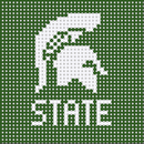 Michigan State Mini Square 2.2-1