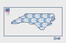 North Carolina State Shape on 13 mesh-1