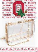 Ohio State Purse Insert And Strap - Needlepoint by Laura