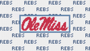 Ole Miss Purse Insert And Strap - Needlepoint by Laura