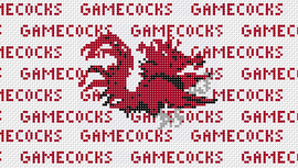 South Carolina Purse Insert And Strap - Needlepoint by Laura