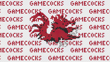 South Carolina Purse Insert And Strap - Needlepoint by Laura