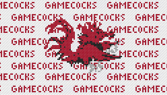 South Carolina Purse Insert And Strap - Needlepoint by Laura