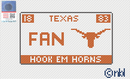 Texas License Plate- FAN-1