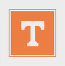 Tennessee 4 inch square - Needlepoint by Laura