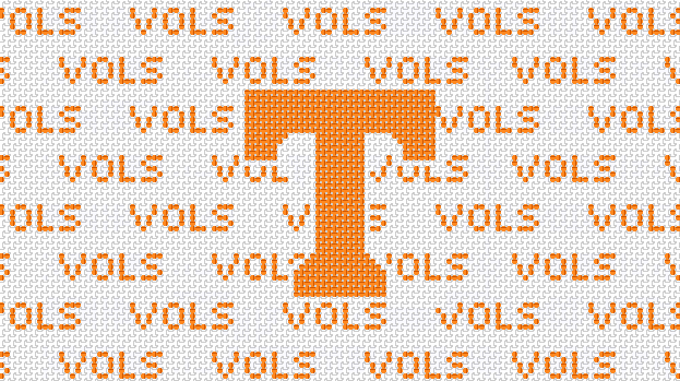 Tennessee Purse Insert And Strap - Needlepoint by Laura