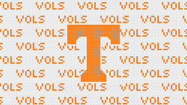 Tennessee Purse Insert And Strap - Needlepoint by Laura