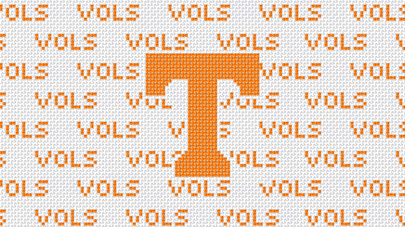 Tennessee Purse Insert And Strap - Needlepoint by Laura