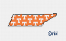 Tennessee State Shape on 13 mesh-1
