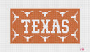 Texas Longhorn Lumbar Pillow - Needlepoint by Laura