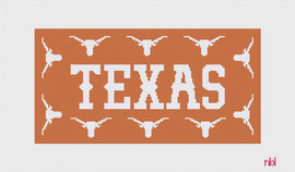 Texas Longhorn Lumbar Pillow - Needlepoint by Laura