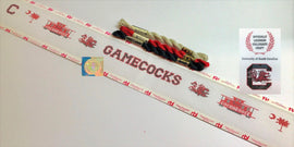 South Carolina Needlepoint Belt Canvas - Needlepoint by Laura